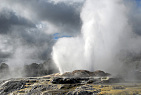 New Zealand - North Island / Te-Puia, Pohutu and Prince of Wales Feather Geyser